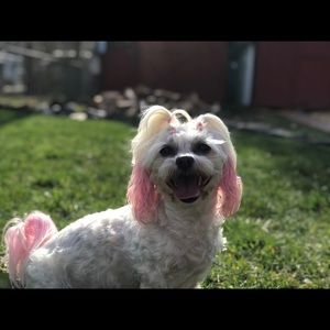 Meet your Posher, Marlen